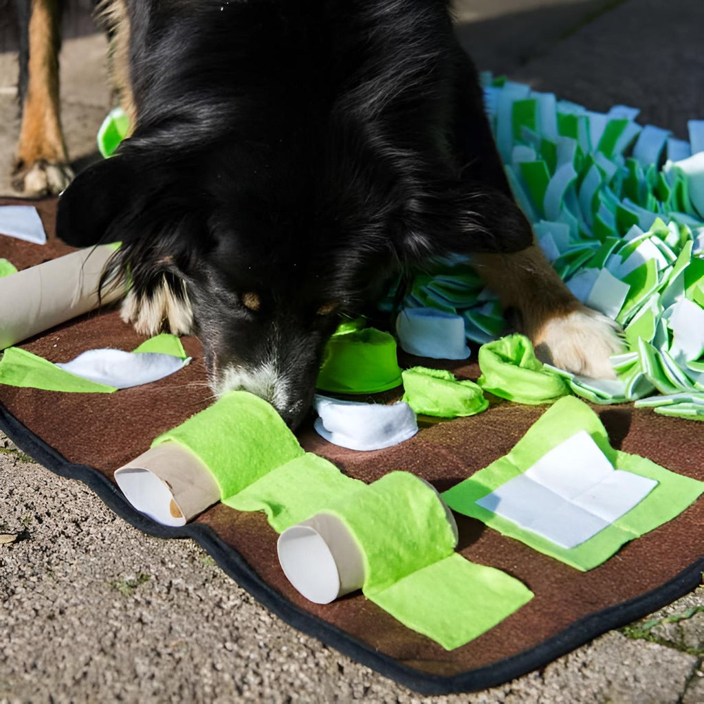 Procycon Intelligenz-Schnüffelmatte 80 × 80 cm