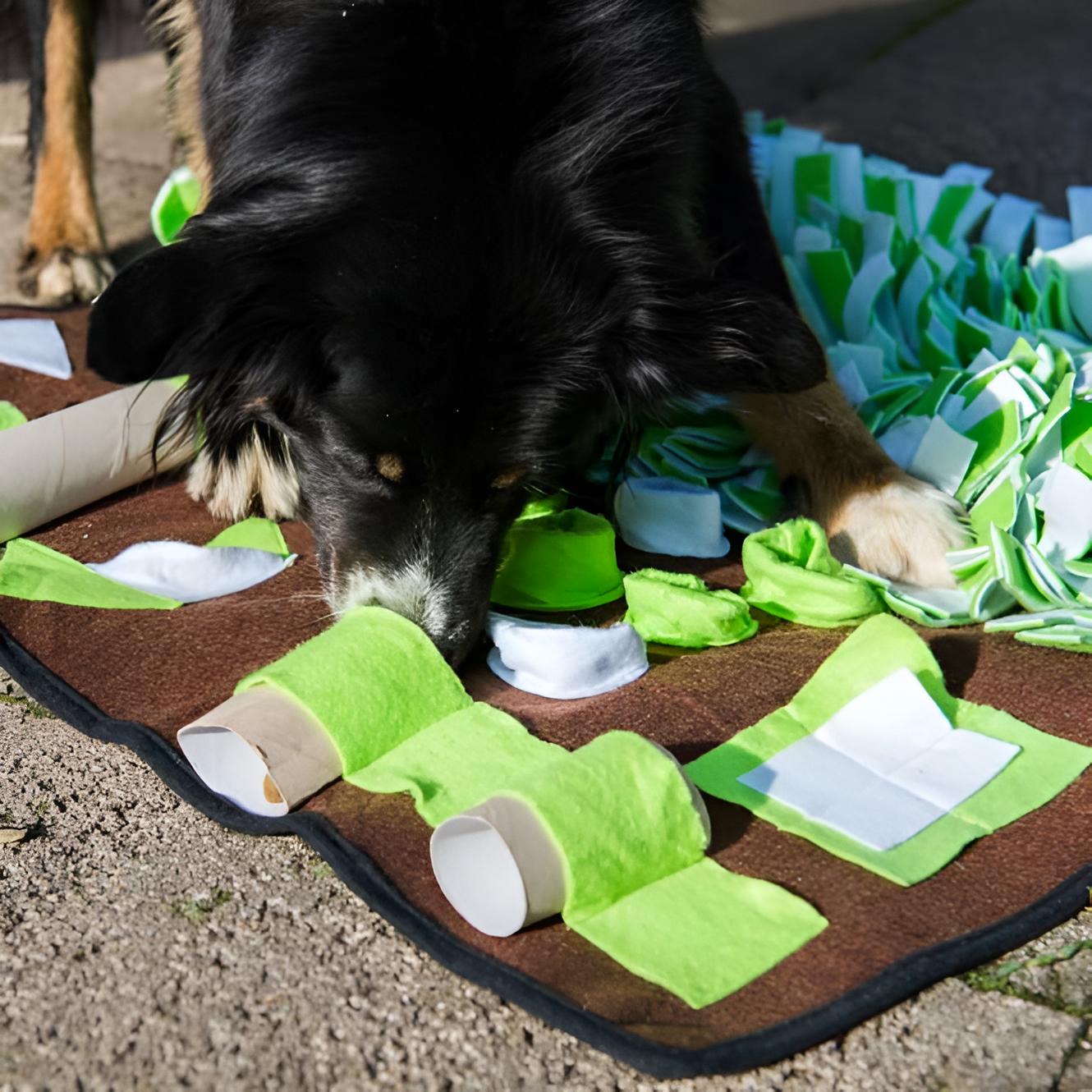 Procycon Intelligenz-Schnüffelmatte 80 × 80 cm